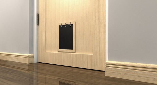 Cat Flap Installation East Sheen, SW14