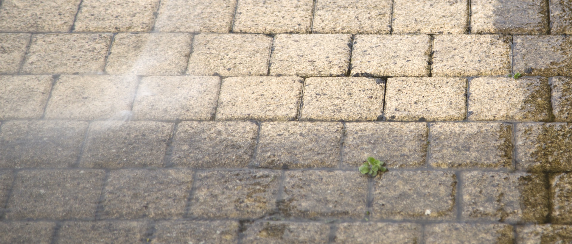 flagging and patios SW14