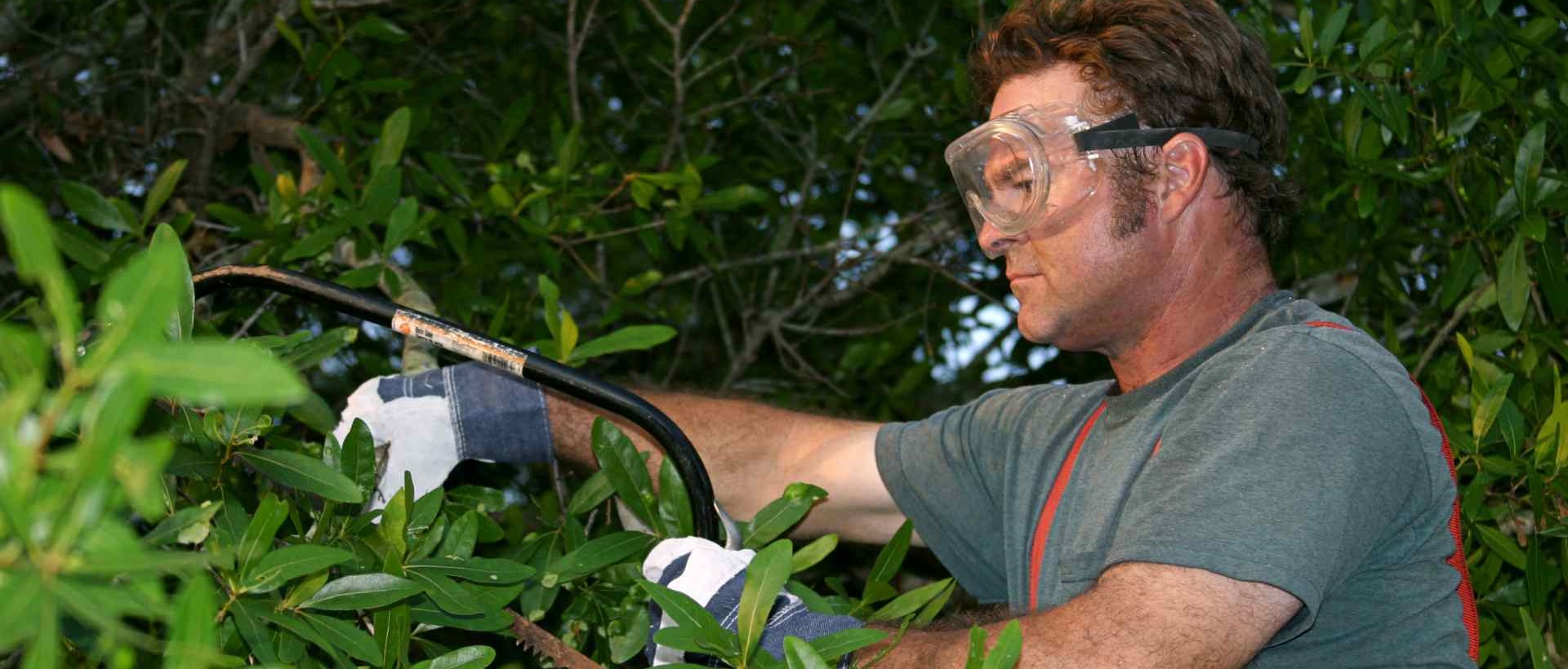 garden clearance SW14